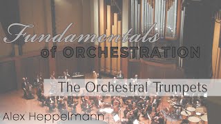 The Orchestral Trumpets [upl. by Herwig821]