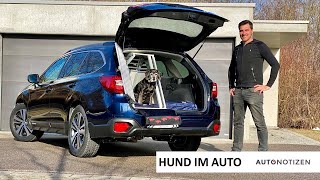 Hund im Auto Transport in der Hundebox  Test in einem Subaru Outback [upl. by Yacano]