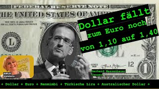 „Der Dollar kann für den Anleger zum Problem werdenquot [upl. by Anastice341]