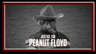 Divorced Kid Blues  063 Justice for Peanut Floyd [upl. by Anigar]