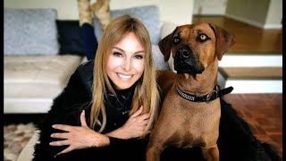 RHODESIAN RIDGEBACK  THE LION DOG OF AFRICA [upl. by Lebatsirc]