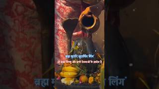 लिङ्गाष्टकं स्तोत्रम्  Lingashtakam  Shiv Mantra  Mahadev Status shortsytshorts [upl. by Yuht]