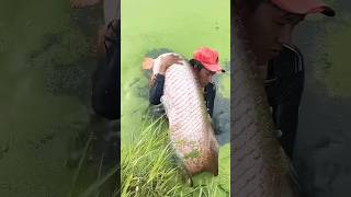 fishing fisherman fishermanlife carpfishing fishermanslife fishingtips fishermansbassfishing [upl. by Illene]