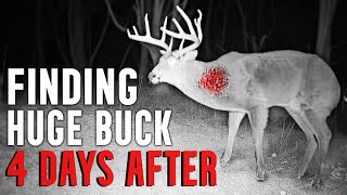 Thermal Drone Finds Big Buck 4 days After Shot￼ [upl. by Sivrahc]