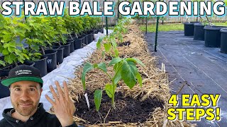 How To Plant A STRAW BALE GARDEN In 4 Easy Steps [upl. by Trever]