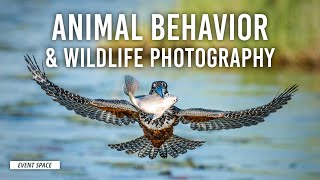 Secret Life of Animals Behavior amp Wildlife Photography  BampH Event Space [upl. by Debby]