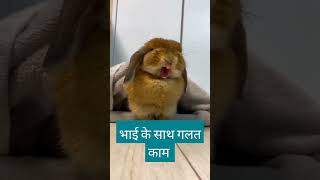 Line kat dijiye sir please 😂😂😂 funny short roockybhai comedy video [upl. by Erdah590]