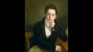 Schubert  String Quartet No 13 in A minor D 804 [upl. by Vassaux]