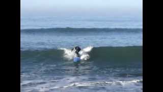 Surfing Cayucos CA [upl. by Petronella]