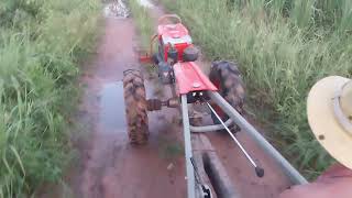 Driving a bullock cart [upl. by Stiles452]