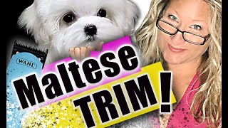 HOW to TRIM a MALTESE at HOME Trimming your DOG at home BASIC DOG GROOMING Tutorial [upl. by Yanej]