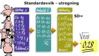 4 Standardavvik SD  teori og beregning [upl. by Nadiya593]