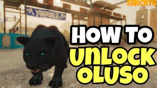 Far Cry 6 How to Get Oluso the Ghost Panther Collect All Triada Relics [upl. by Hakon621]