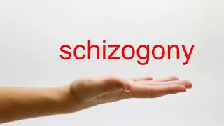 How to Pronounce schizogony  American English [upl. by Billat]