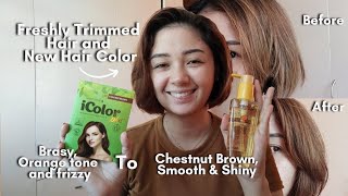 Hair Dye Shampoo Icolor Plus Chestnut Brown and Bremod Moroccan Argan Oil [upl. by Resay]