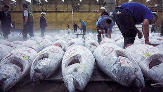 How Tuna Fish Is Caught amp Processed  How Its Made Canned Tuna [upl. by Ehav]