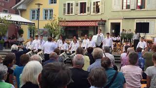 Jugendfest Brugg 2018  Konzert der Jugendmusik beim Erdbeeribrunnen [upl. by Nappy]