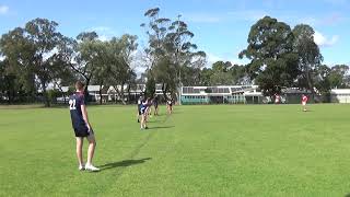 2024 7s Senior St Patricks vs Kogarah for 3 place [upl. by Selina500]