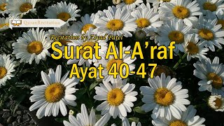 Ziyad Patel Surat AlAraf 4047 [upl. by Alekat]