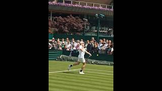 Denis Shapovalovs Forehand Winner atp forehand forehandwinner shapovalov [upl. by Drice749]