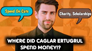 Caglar Ertugruls Opinion about Investment  Spend Money On CatsDogsStudents and Donate 😍 [upl. by Eimam369]