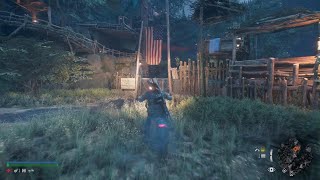 DAYS GONE HORDE 13 [upl. by Paule393]