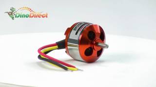 MYSTERY A220814 1450KV Outrunner Brushless Motor for RC Helicopter from Dinodirectcom [upl. by Akeihsat781]