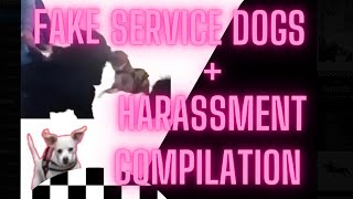 Fake Service Dog  Harassment Compilation [upl. by Margarette]