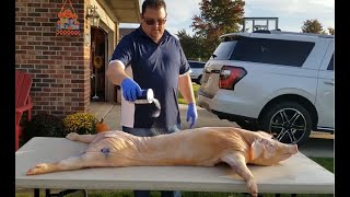 Pig Roast 2019 [upl. by Atteloiv]