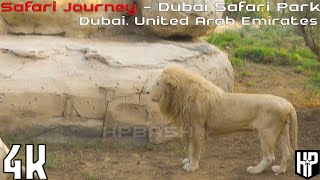 Safari Journey 4K  Dubai Safari Park Adventure [upl. by Ecadnarb]