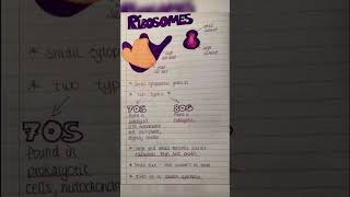 Ribosome biology and physiology  medical 20 [upl. by Kenwee]