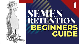 Semen Retention Beginners Guide [upl. by Ynhoj]