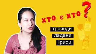 Сліпі затести осінньої ніші 👀 [upl. by Nede]