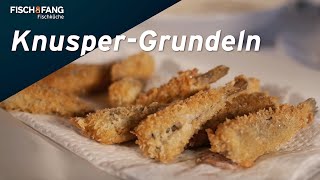 FischKüche KnusperGrundeln mit Jörg Strehlow [upl. by Nahamas]