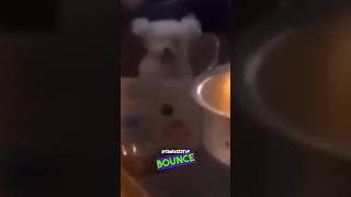 The Puppy Dog Bounce Song My 1st Viral Post RxCKSTxR Comedy Voiceover [upl. by Enamrej]