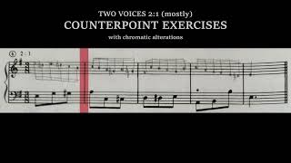 Counterpoint Exercises  2 voice 21 chromatism  Igor Franco on Kent Kennans Workbook [upl. by Itagaki]