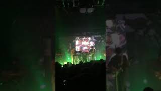 MGMT When You Die LIVE [upl. by Anert]