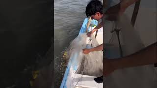 Así se pesca el camarón en Las Arenitas Sinaloa [upl. by Earas]