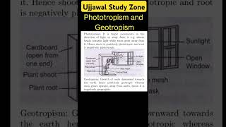 Phototropism and Geotropism ujjawalstudyzone motivation cbse [upl. by Hars316]