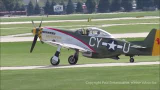 P51D Mustang quotGun Fighterquot 7202024 [upl. by Laughton721]