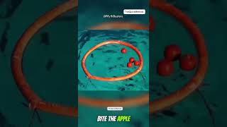 Can You Bite An Apple While Bungee Jumping Credit Myth Busters [upl. by Ronn]