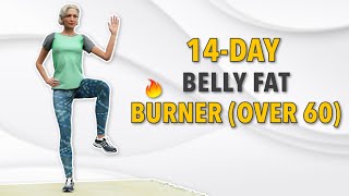 14DAY BELLY FAT BURNING WORKOUT FOR SENIORS OVER 60  ATHOME EXERCISES [upl. by Southard690]