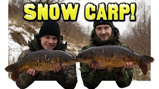 CARP FISHING in the SNOW [upl. by Ahsitel]