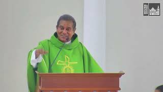 Homily English  25th Sunday in Ordinary Time [upl. by Steinman]