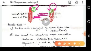 Non Homologous End Joining Repair Mechanism [upl. by Gaut]