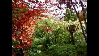 Samhain at Bealtaine Cottage [upl. by Nadean]