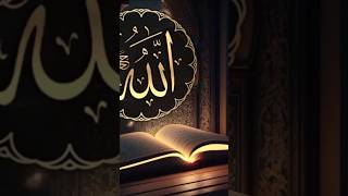 islamicvideo viralvideo ytshort loveallahﷻ 😍💖🤲 [upl. by Etnom608]