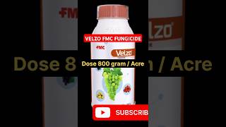 Velzo fungicide  FMC Velzo fungicide  velzo fmc fungicide  velzo [upl. by Loresz]