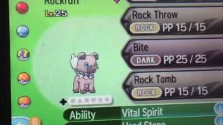 How to evolve rockruff [upl. by Cul516]