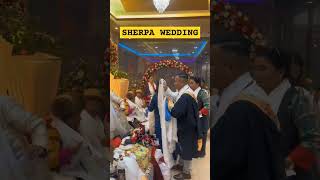 SHERPA WEDDING  Sindhupalchok Bagam to Solu Bagam sherpa wedding love [upl. by Solracnauj799]